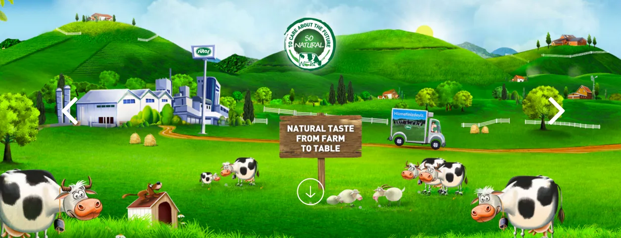 Turkish Origin Staple Food & Pulses Export Goods Model 19 — Food, Pulses & Fast-Moving Consumer Goods | AFRIMEKS Foreign Trade