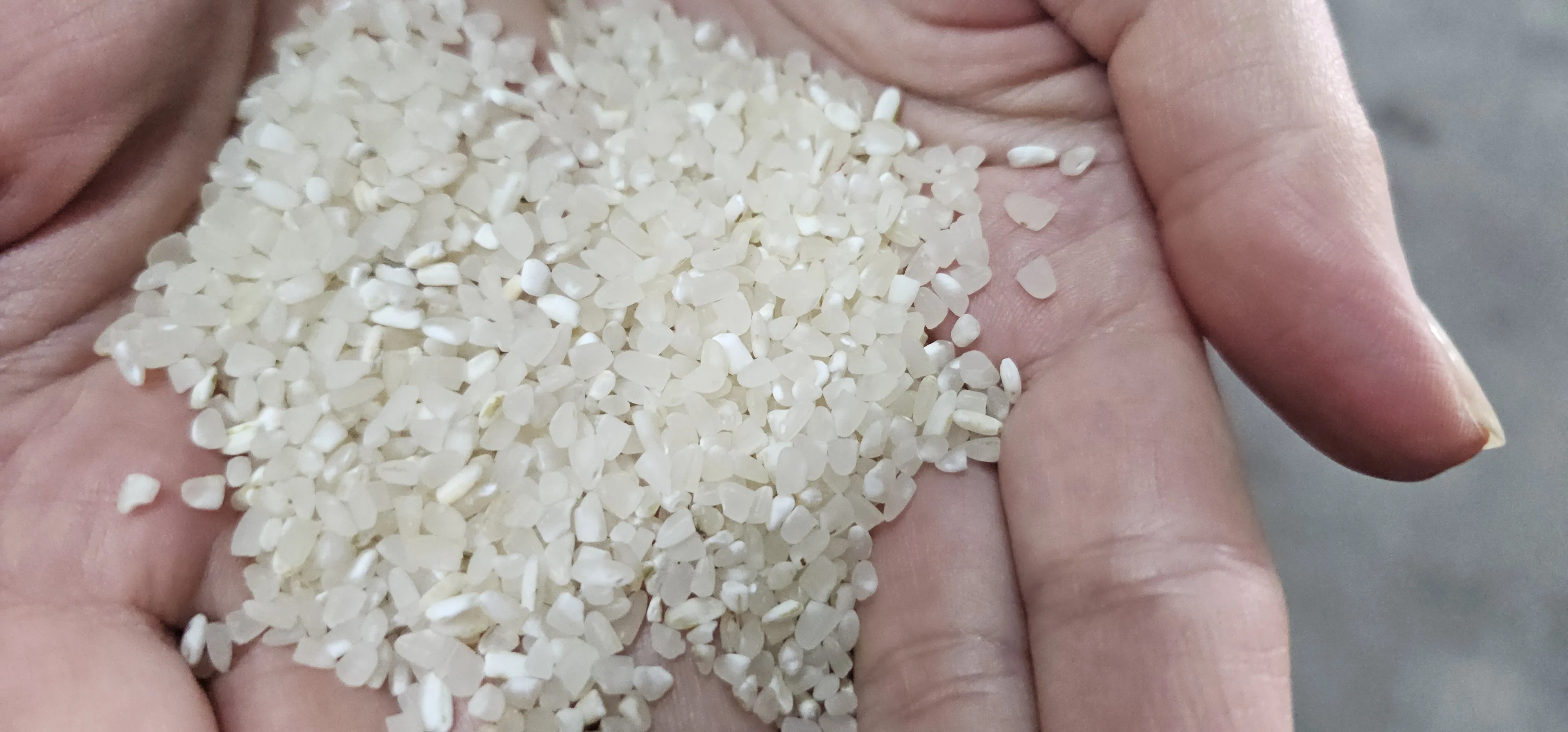 Turkish Origin Staple Food & Pulses Export Goods Model 46 — Food, Pulses & Fast-Moving Consumer Goods | AFRIMEKS Foreign Trade