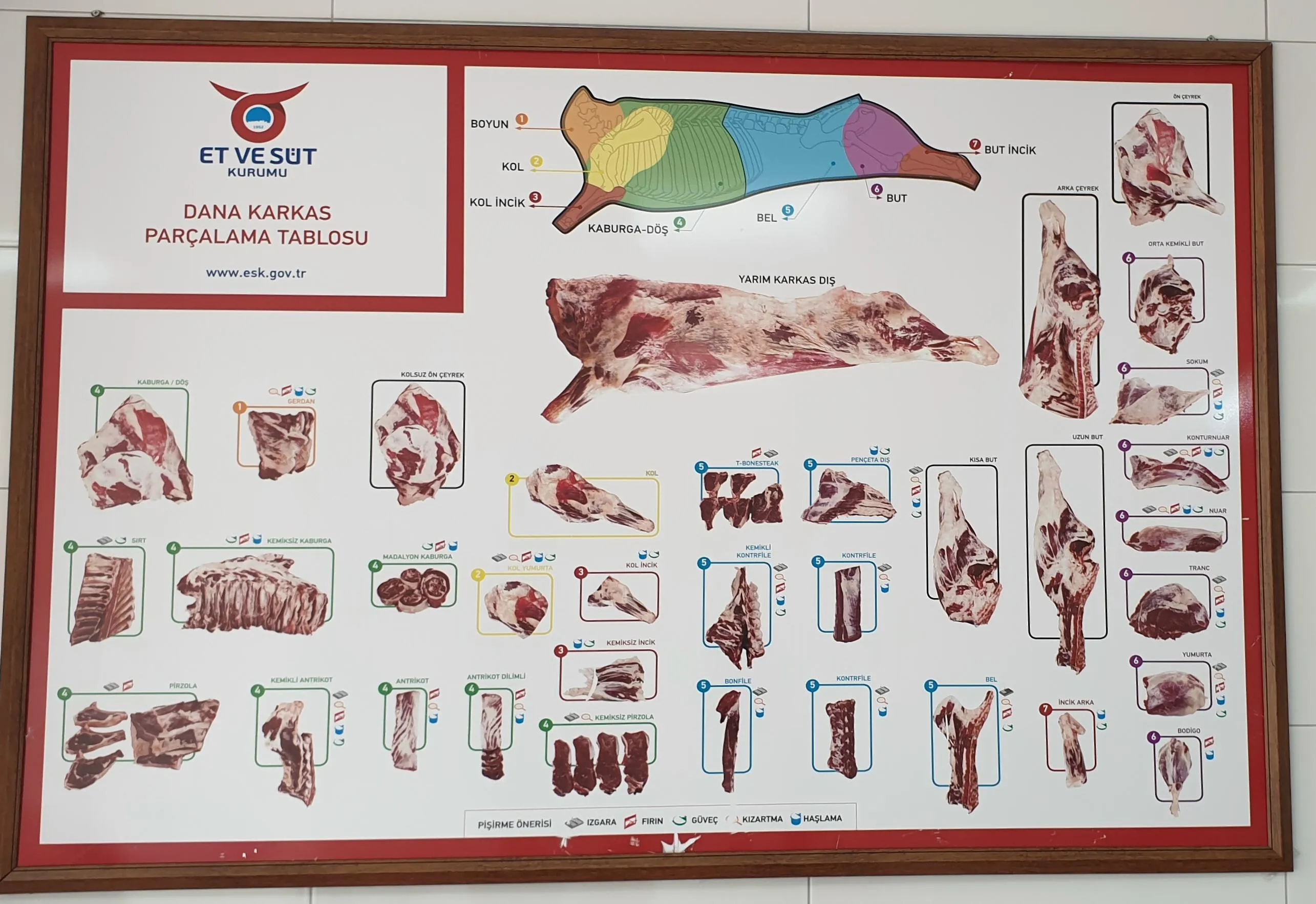 Frozen Halal Beef & Lamb Carcasses & Primal Cuts Model 2 — Fresh & Frozen Meat, Poultry, Turkey & Dairy Products | AFRIMEKS Foreign Trade