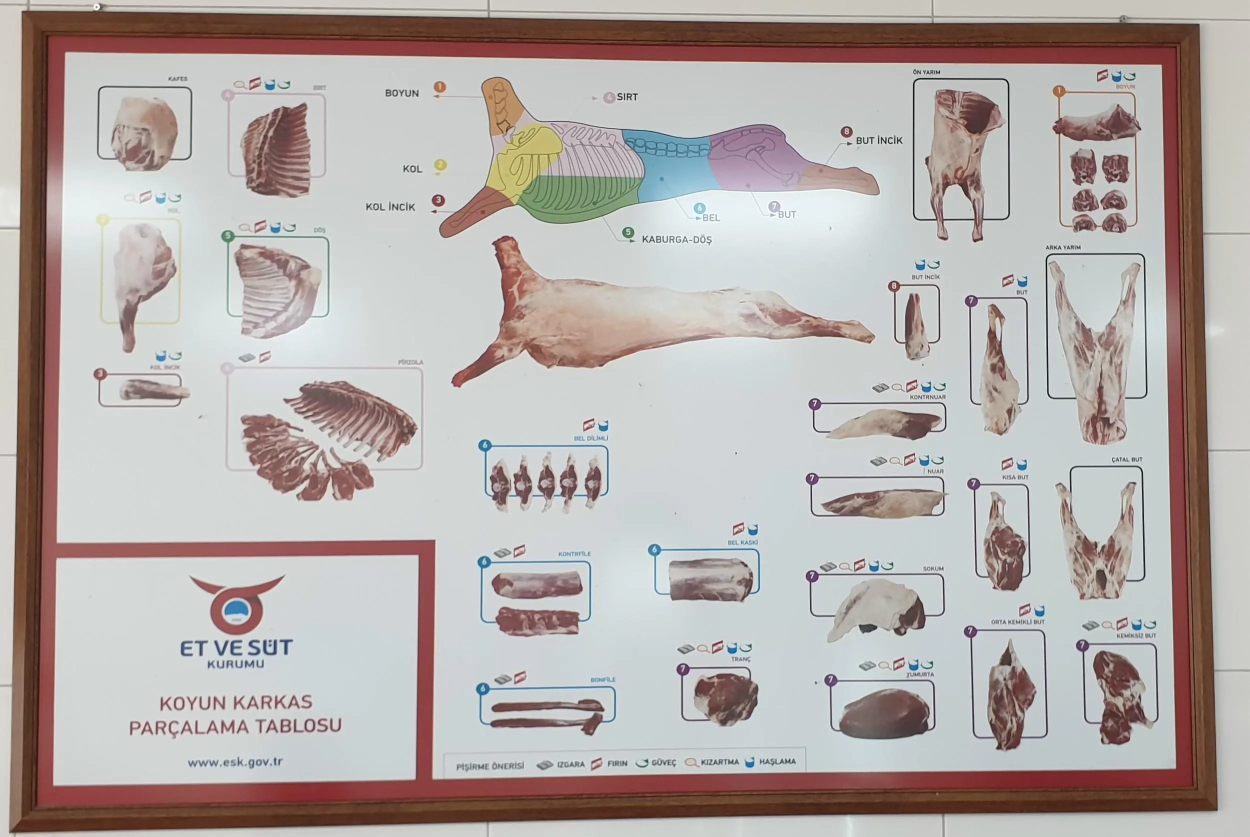 Frozen Halal Beef & Lamb Carcasses & Primal Cuts Model 7 — Fresh & Frozen Meat, Poultry, Turkey & Dairy Products | AFRIMEKS Foreign Trade