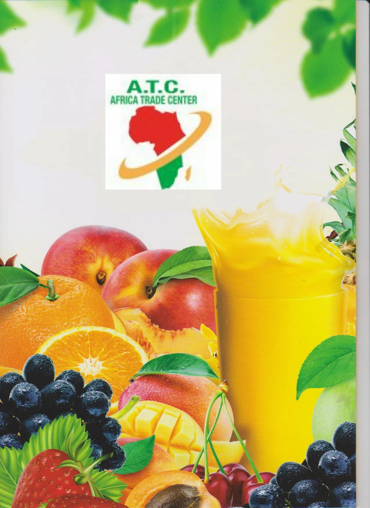 Turkish Origin Staple Food & Pulses Export Goods Model 39 — Food, Pulses & Fast-Moving Consumer Goods | AFRIMEKS Foreign Trade