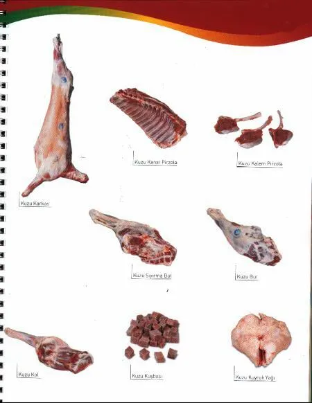 Frozen Halal Beef & Lamb Carcasses & Primal Cuts Model 8 — Fresh & Frozen Meat, Poultry, Turkey & Dairy Products | AFRIMEKS Foreign Trade