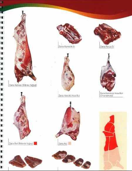 Frozen Halal Beef & Lamb Carcasses & Primal Cuts Model 3 — Fresh & Frozen Meat, Poultry, Turkey & Dairy Products | AFRIMEKS Foreign Trade
