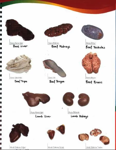 Frozen Halal Beef & Lamb Carcasses & Primal Cuts Model 5 — Fresh & Frozen Meat, Poultry, Turkey & Dairy Products | AFRIMEKS Foreign Trade